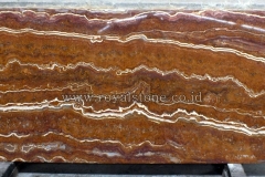 Red Trionyx